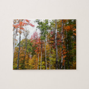 Fall in the Forest Colourful Autumn Photography Jigsaw Puzzle