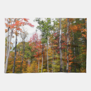 Fall in the Forest Colourful Autumn Photography Kitchen Towel