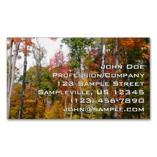 Fall in the Forest Colourful Autumn Photography Magnetic Business Card