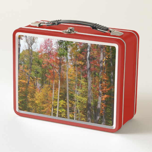 Fall in the Forest Colourful Autumn Photography Metal Lunch Box (Front)