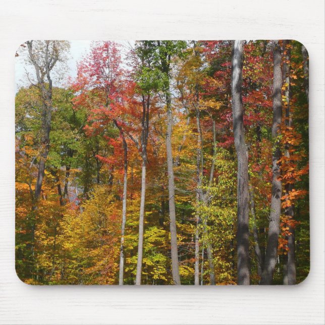 Fall in the Forest Colourful Autumn Photography Mouse Pad (Front)