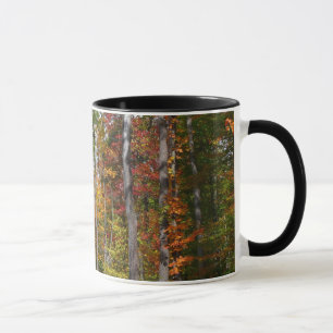 Fall in the Forest Colourful Autumn Photography Mug