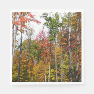 Fall in the Forest Colourful Autumn Photography Napkin