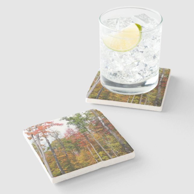 Fall in the Forest Colourful Autumn Photography Stone Coaster (Side)