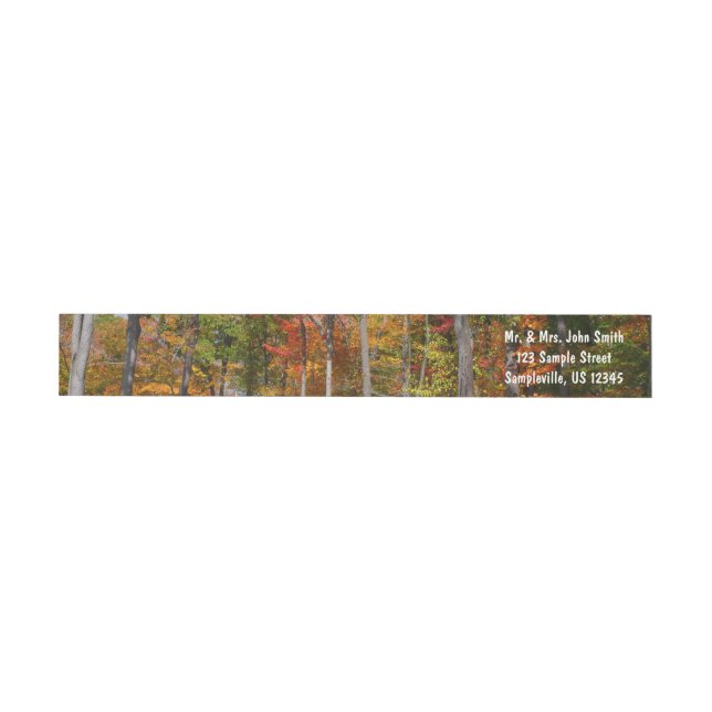 Fall in the Forest Colourful Autumn Photography Wrap Around Label (Individual)
