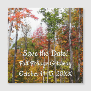 Fall in the Forest Colourful Autumn Save the Date