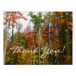 Fall in the Forest Thank You (Blank Inside)