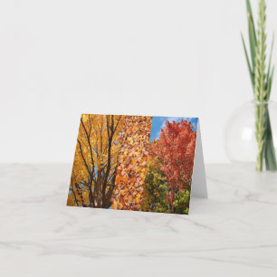 Fall in Wabash, Indiana Card