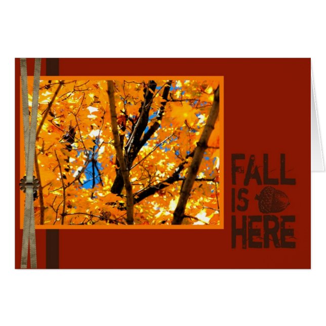Fall is Here (Front Horizontal)