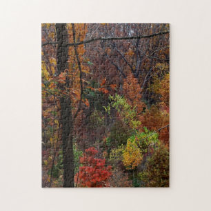 Fall Landscape in Arkansas Jigsaw Puzzel Puzzle