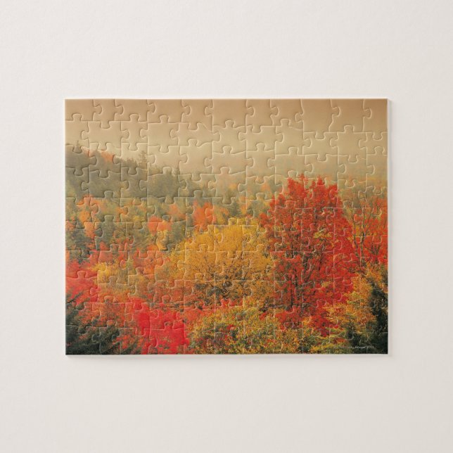 Fall landscape, New Hampshire, USA Jigsaw Puzzle (Horizontal)