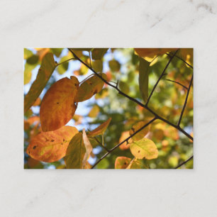 Fall Leaf Autumn Leaves Sky Nature Photography Business Card