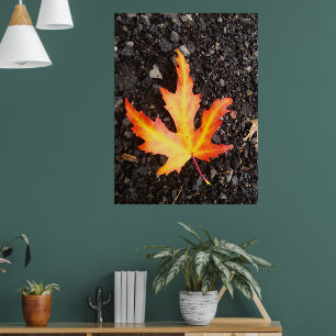 Fall Leaf Bright version of picture. Restiq. Poster