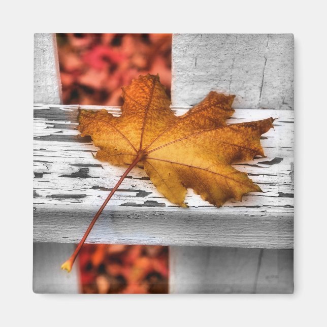 Fall Leaf Magnet (Front)