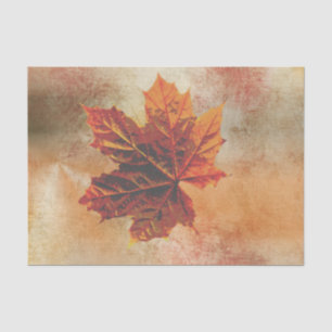 Fall  Leaf Pumpkim Wrap Decoupage  Tissue Paper