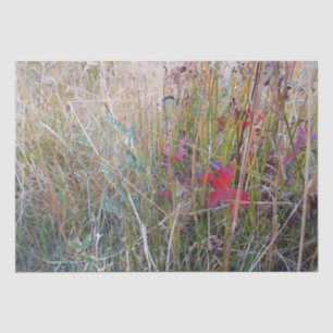 Fall Leaf Tissue Paper