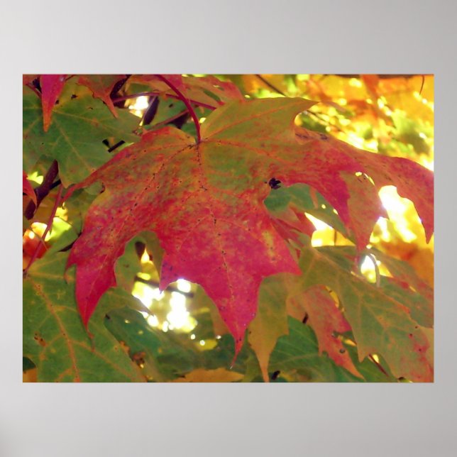 Fall Leave Before It Falls Poster (Front)