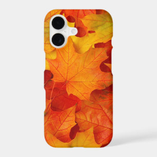 Fall Leaves