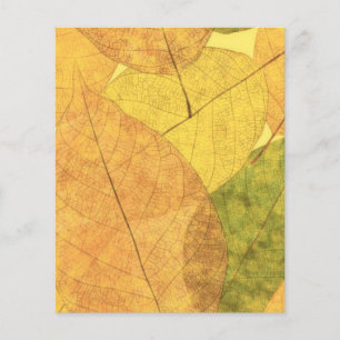 Fall leaves