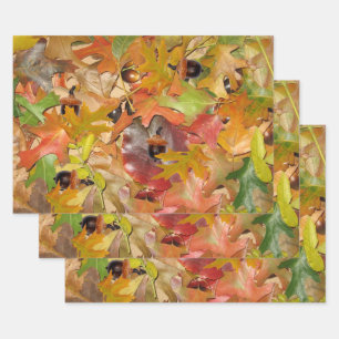 Fall Leaves and Acorns Wrapping Paper Sheet