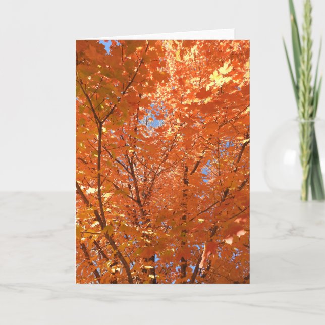 Fall Leaves Autumn Blessings Blank Card (Front)