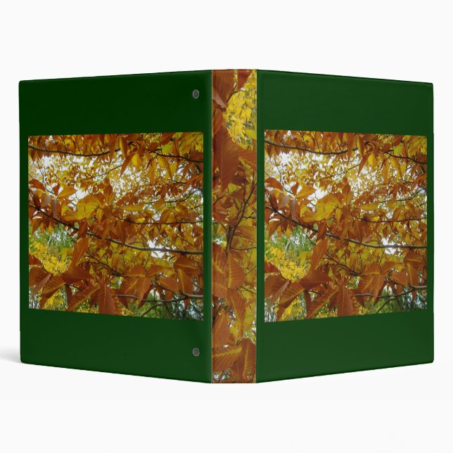 Fall Leaves Binder (Background)