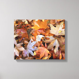 Fall Leaves Canvas Wall Art