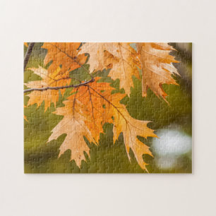 Fall leaves close-up photo puzzle