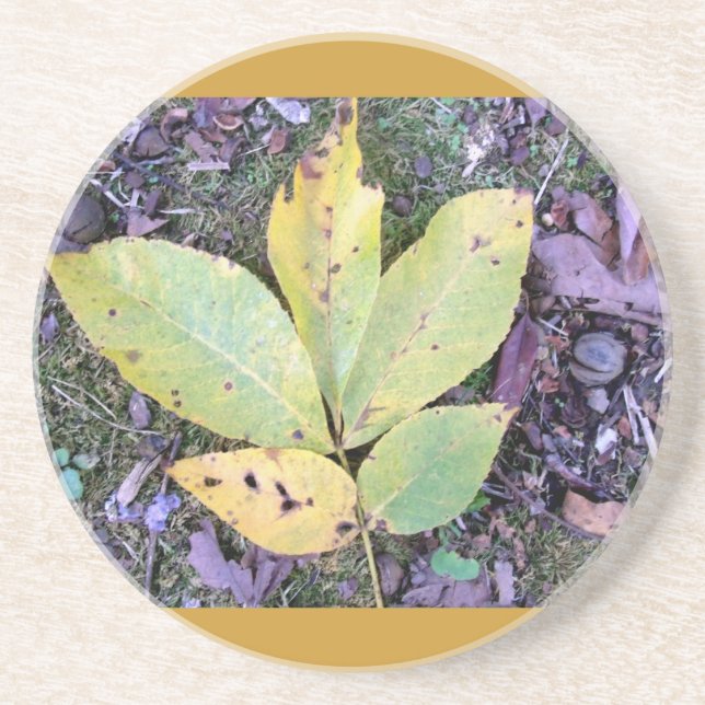 Fall Leaves Coaster (Front)