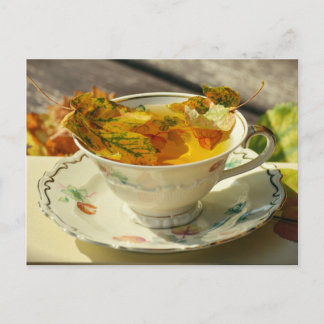 Fall Leaves English Tea Autumn Cottage Postcard