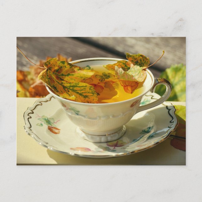 Fall Leaves English Tea Autumn Cottage Postcard (Front)