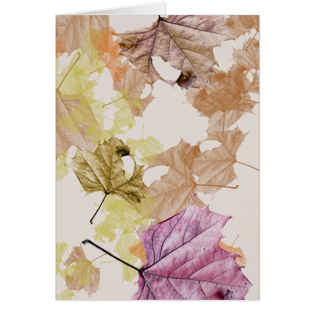 "fall leaves" ...falling for you GREETING CARD (Front)