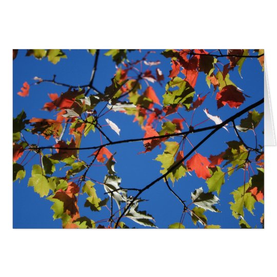 Fall Leaves Greeting Card, Blank Inside Card