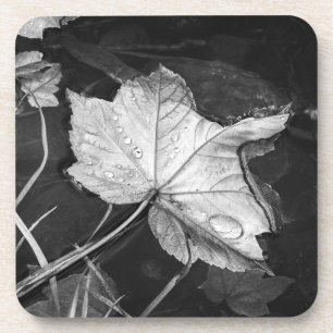 Fall Leaves in a Pond Black and White Coaster
