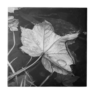 Fall Leaves in a Pond Black and White Tile