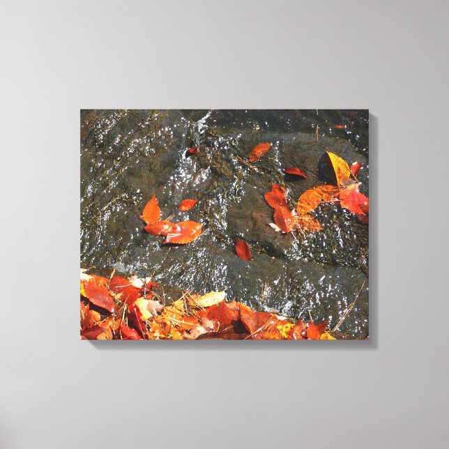 Fall Leaves in Waterfall I Autumn Photography Canvas Print (Front)