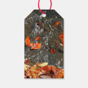 Fall Leaves in Waterfall I Autumn Photography Gift Tags