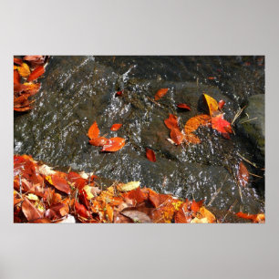 Fall Leaves in Waterfall I Autumn Photography Poster