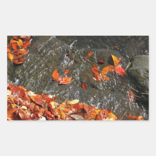 Fall Leaves in Waterfall I Autumn Photography Sticker