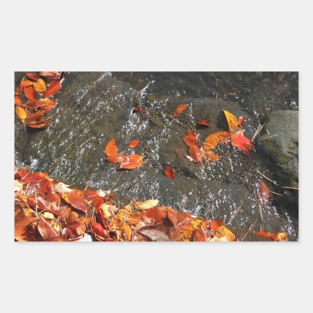 Fall Leaves in Waterfall I Autumn Photography Sticker (Front)