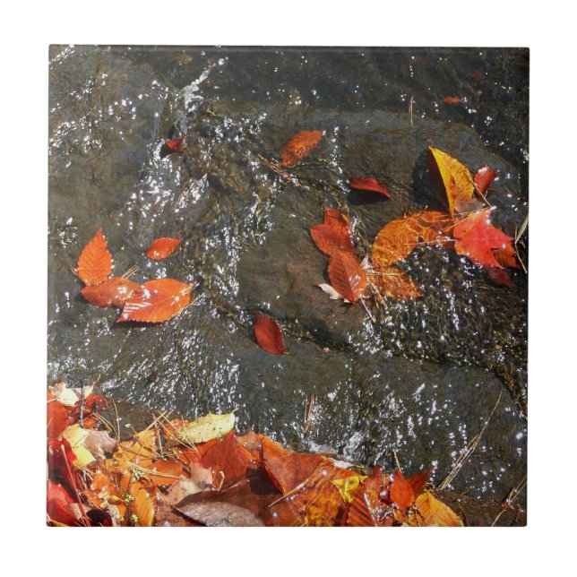 Fall Leaves in Waterfall I Autumn Photography Tile (Front)