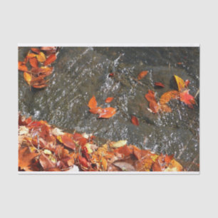 Fall Leaves in Waterfall I Autumn Photography Tissue Paper