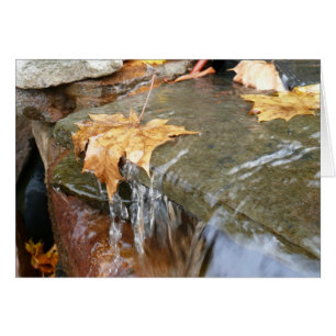 Fall Leaves in Waterfall II Autumn Photography