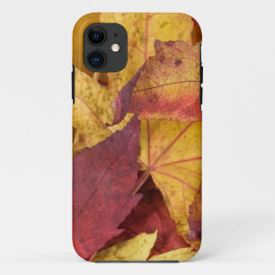 Fall Leaves iPhone5 Case