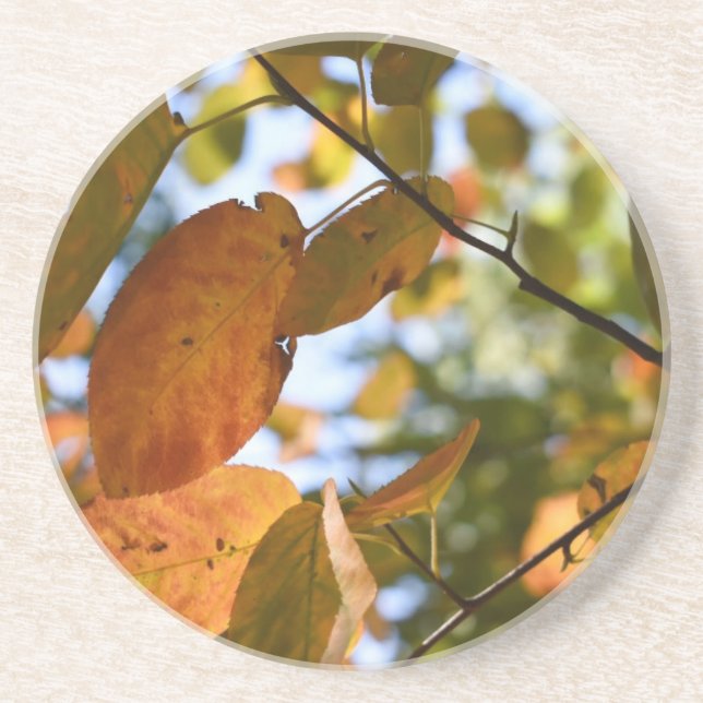Fall Leaves Leaf Peeping Autumn Nature Photography Coaster (Front)