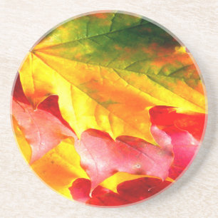 Fall Leaves Personalize it Yellow, Red, Green, Coaster
