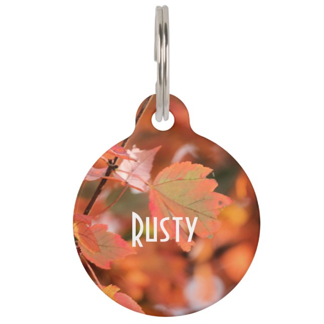 Fall leaves pet tag (Front)