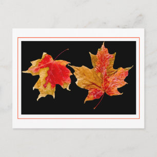 fall leaves postcards