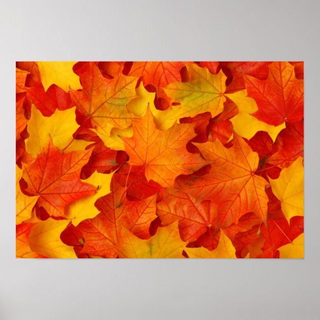 Fall Leaves Poster (Front)