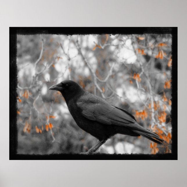 Fall Leaves Poster (Front)